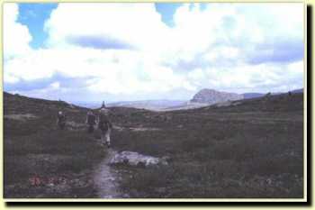 hv9606.jpg