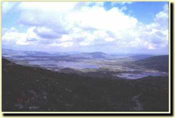 hv9607.jpg