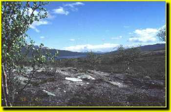 fj980104.jpg