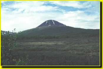 fj980121.jpg